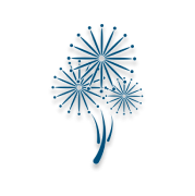 花火大会 お祭り等イベント